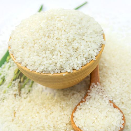 Gạo Nhật Japonica