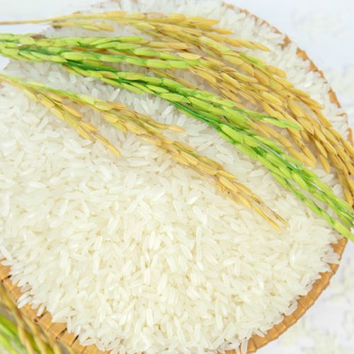 Gạo thơm Jasmine Thái